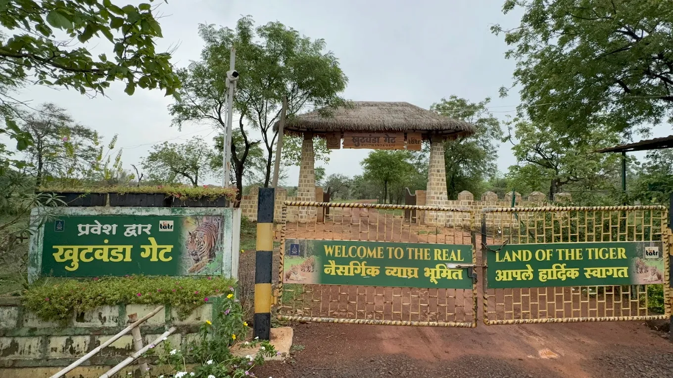 Dense jungle forest at Khutwanda Gate buffer zone in Tadoba National Park